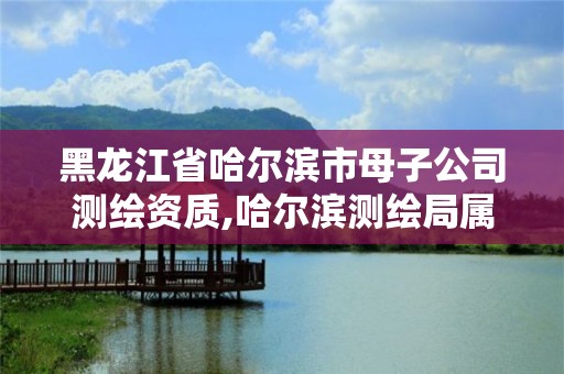 黑龙江省哈尔滨市母子公司测绘资质,哈尔滨测绘局属于什么单位