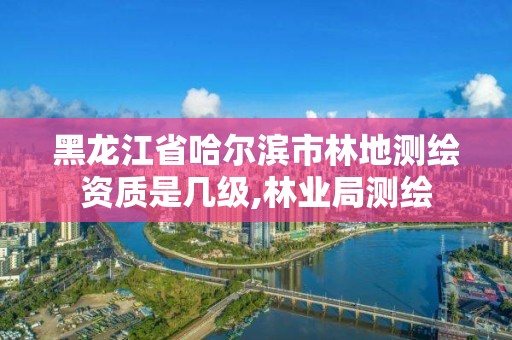 黑龙江省哈尔滨市林地测绘资质是几级,林业局测绘