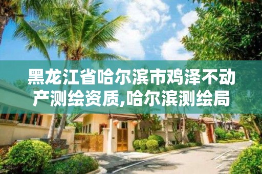 黑龙江省哈尔滨市鸡泽不动产测绘资质,哈尔滨测绘局怎么样。