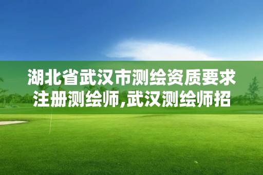 湖北省武汉市测绘资质要求注册测绘师,武汉测绘师招聘