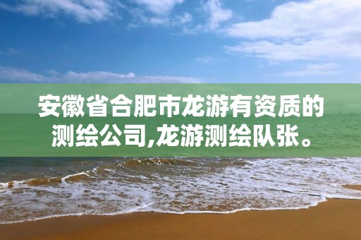 安徽省合肥市龙游有资质的测绘公司,龙游测绘队张。