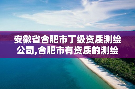 安徽省合肥市丁级资质测绘公司,合肥市有资质的测绘公司。