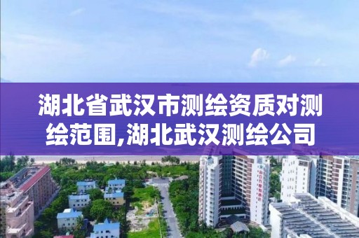 湖北省武汉市测绘资质对测绘范围,湖北武汉测绘公司排行榜