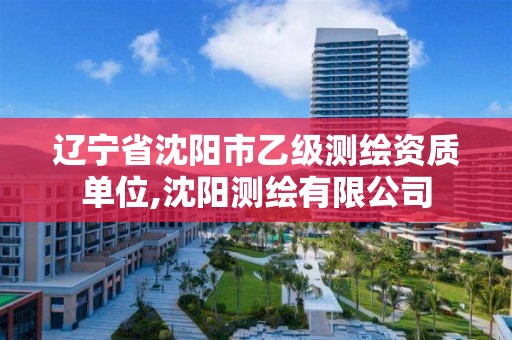 辽宁省沈阳市乙级测绘资质单位,沈阳测绘有限公司