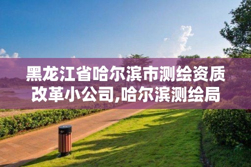 黑龙江省哈尔滨市测绘资质改革小公司,哈尔滨测绘局属于什么单位。