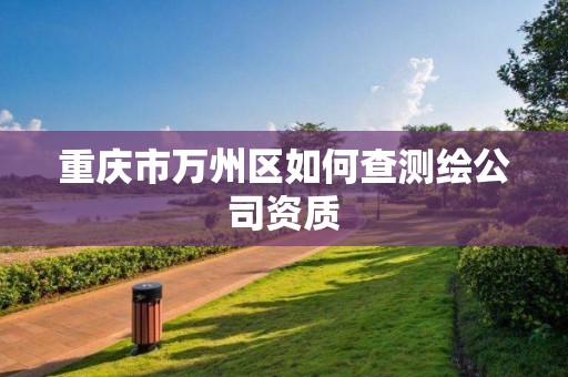 重庆市万州区如何查测绘公司资质