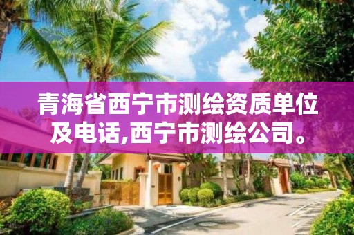 青海省西宁市测绘资质单位及电话,西宁市测绘公司。