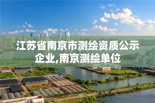 江苏省南京市测绘资质公示企业,南京测绘单位