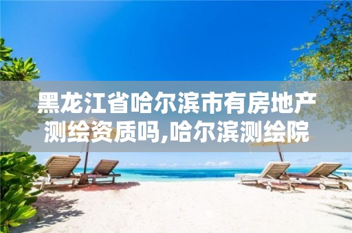 黑龙江省哈尔滨市有房地产测绘资质吗,哈尔滨测绘院地址。