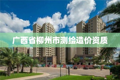 广西省柳州市测绘造价资质