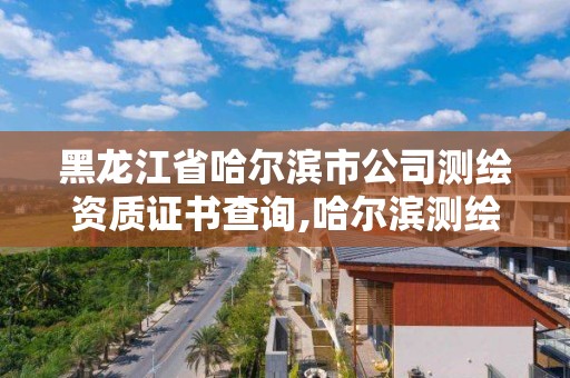 黑龙江省哈尔滨市公司测绘资质证书查询,哈尔滨测绘局是干什么的。