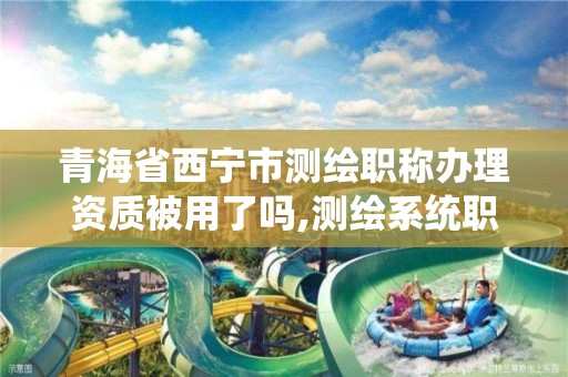 青海省西宁市测绘职称办理资质被用了吗,测绘系统职称查询。