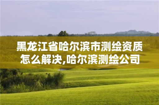 黑龙江省哈尔滨市测绘资质怎么解决,哈尔滨测绘公司电话