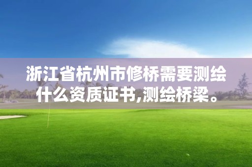 浙江省杭州市修桥需要测绘什么资质证书,测绘桥梁。