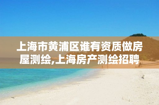 上海市黄浦区谁有资质做房屋测绘,上海房产测绘招聘