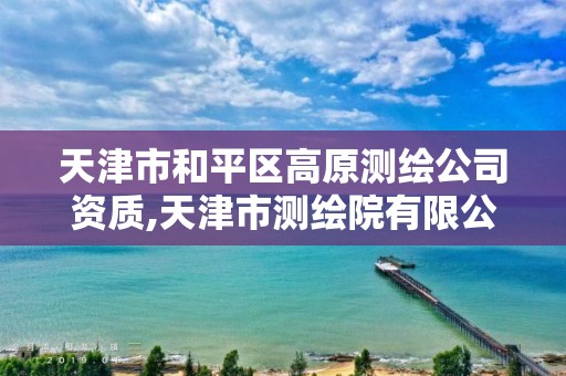 天津市和平区高原测绘公司资质,天津市测绘院有限公司资质