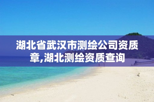 湖北省武汉市测绘公司资质章,湖北测绘资质查询