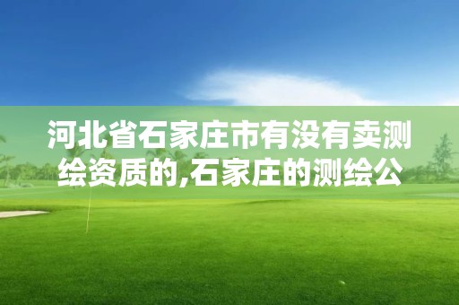 河北省石家庄市有没有卖测绘资质的,石家庄的测绘公司