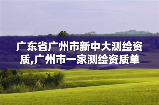 广东省广州市新中大测绘资质,广州市一家测绘资质单位