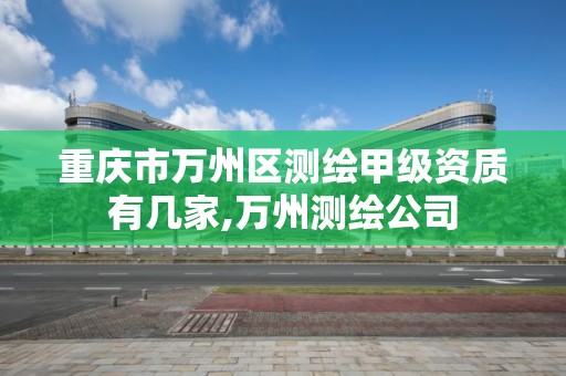 重庆市万州区测绘甲级资质有几家,万州测绘公司