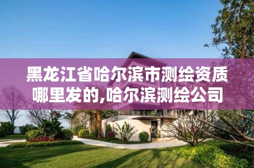 黑龙江省哈尔滨市测绘资质哪里发的,哈尔滨测绘公司有哪些