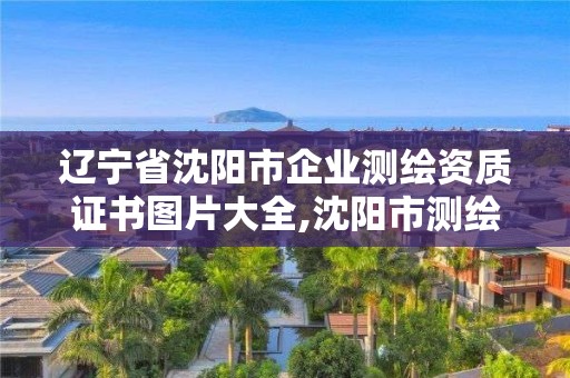 辽宁省沈阳市企业测绘资质证书图片大全,沈阳市测绘院是什么单位。