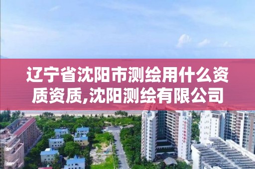 辽宁省沈阳市测绘用什么资质资质,沈阳测绘有限公司