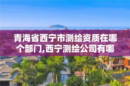 青海省西宁市测绘资质在哪个部门,西宁测绘公司有哪些