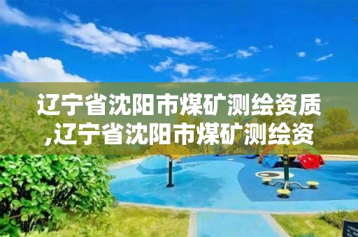 辽宁省沈阳市煤矿测绘资质,辽宁省沈阳市煤矿测绘资质公示