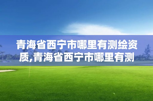 青海省西宁市哪里有测绘资质,青海省西宁市哪里有测绘资质的