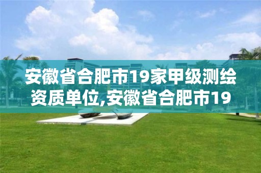 安徽省合肥市19家甲级测绘资质单位,安徽省合肥市19家甲级测绘资质单位名单