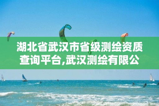 湖北省武汉市省级测绘资质查询平台,武汉测绘有限公司