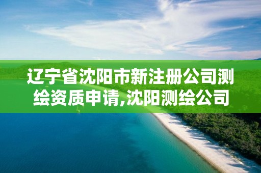 辽宁省沈阳市新注册公司测绘资质申请,沈阳测绘公司哪家强哪家好