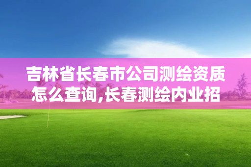 吉林省长春市公司测绘资质怎么查询,长春测绘内业招聘