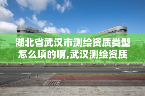 湖北省武汉市测绘资质类型怎么填的啊,武汉测绘资质代办。