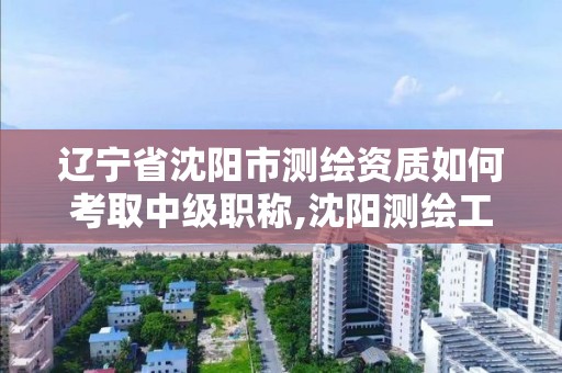 辽宁省沈阳市测绘资质如何考取中级职称,沈阳测绘工程师招聘。