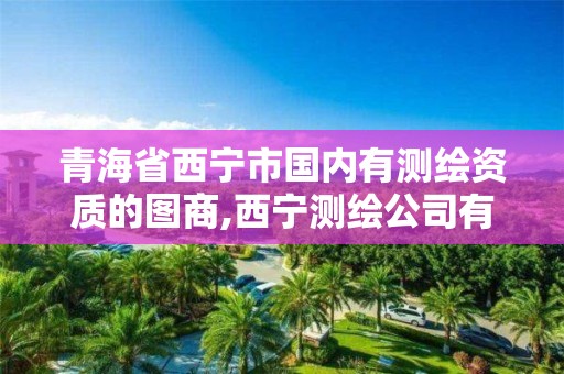 青海省西宁市国内有测绘资质的图商,西宁测绘公司有哪些。