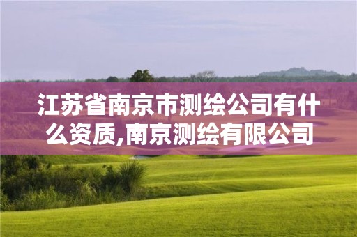 江苏省南京市测绘公司有什么资质,南京测绘有限公司