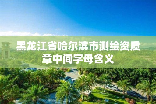 黑龙江省哈尔滨市测绘资质章中间字母含义