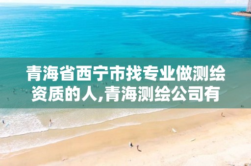 青海省西宁市找专业做测绘资质的人,青海测绘公司有哪些。