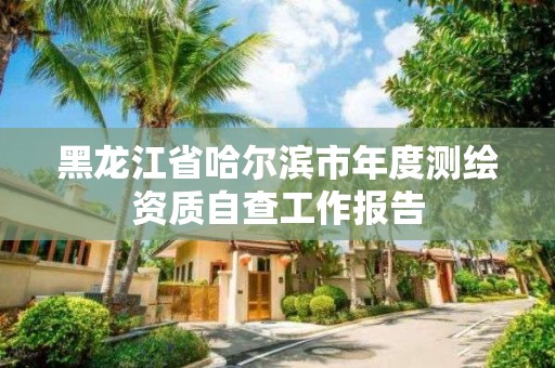 黑龙江省哈尔滨市年度测绘资质自查工作报告