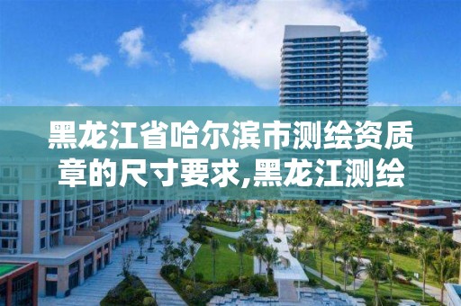 黑龙江省哈尔滨市测绘资质章的尺寸要求,黑龙江测绘公司乙级资质