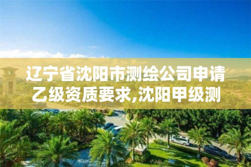 辽宁省沈阳市测绘公司申请乙级资质要求,沈阳甲级测绘公司。