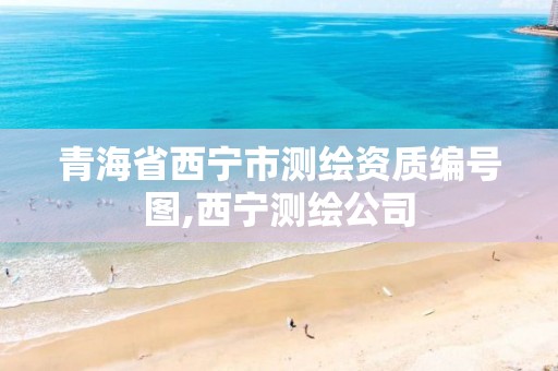 青海省西宁市测绘资质编号图,西宁测绘公司