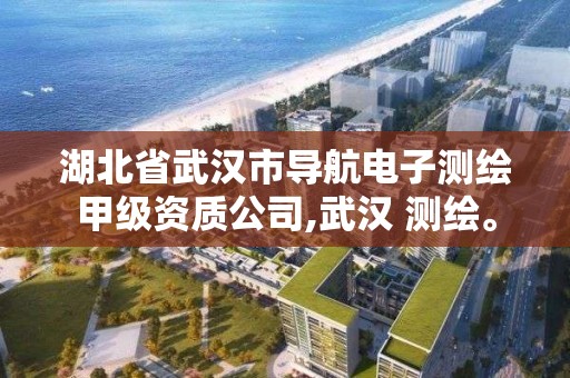 湖北省武汉市导航电子测绘甲级资质公司,武汉 测绘。