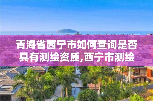 青海省西宁市如何查询是否具有测绘资质,西宁市测绘院在哪里