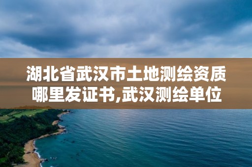 湖北省武汉市土地测绘资质哪里发证书,武汉测绘单位