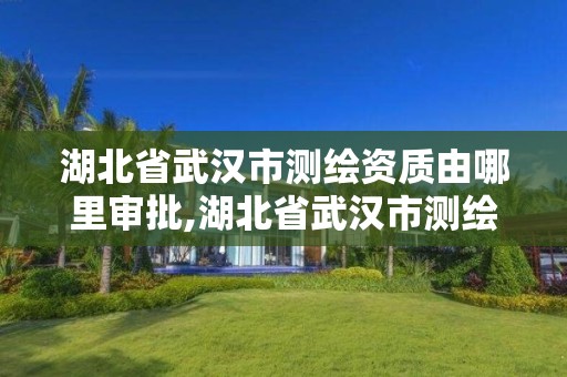 湖北省武汉市测绘资质由哪里审批,湖北省武汉市测绘资质由哪里审批的