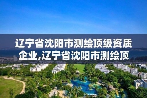 辽宁省沈阳市测绘顶级资质企业,辽宁省沈阳市测绘顶级资质企业公示