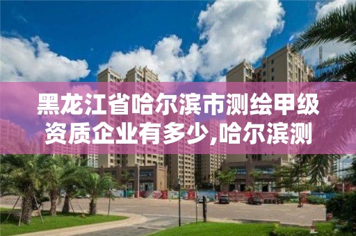 黑龙江省哈尔滨市测绘甲级资质企业有多少,哈尔滨测绘有限公司